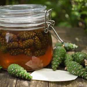 Stock Foto Jam of pine cones - recipes
