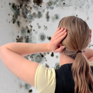 Stock Foto How to get rid of mold on the wall