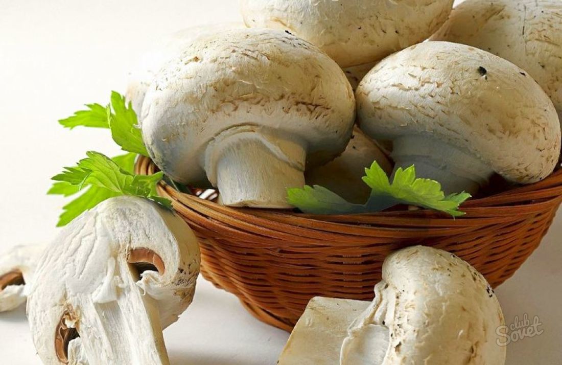 How to cook champignons in the oven