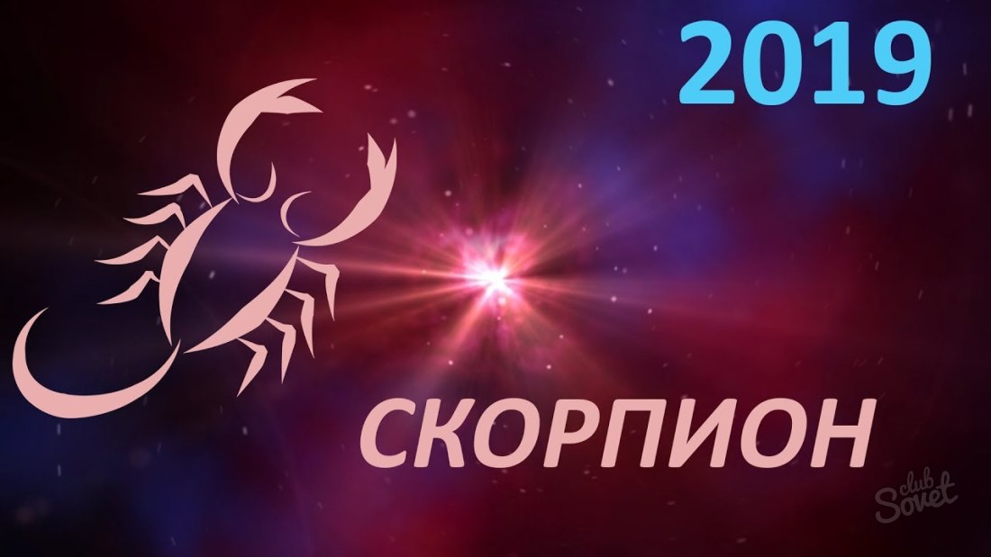 Horoskop na 2019 - Scorpio