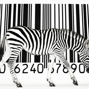 How to check the bar code