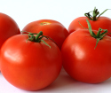 Πώς να αναπτυχθούν ντομάτες στο θερμοκήπιο