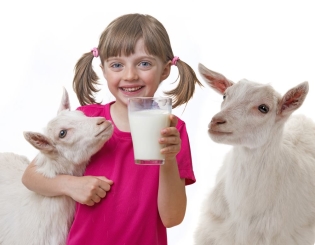 ¿Cuál es la leche de cabra útil