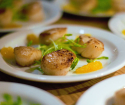 How to cook scallops?