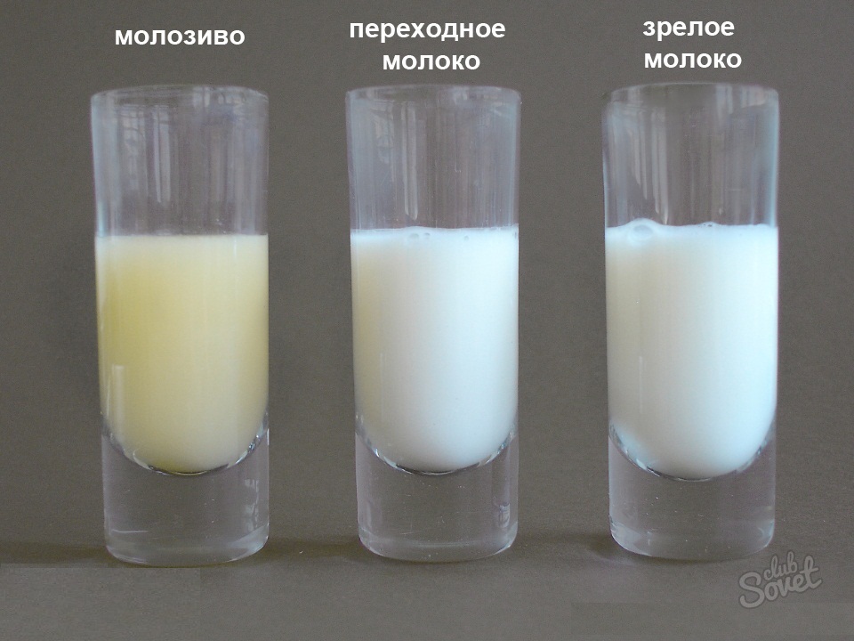 Types de lait