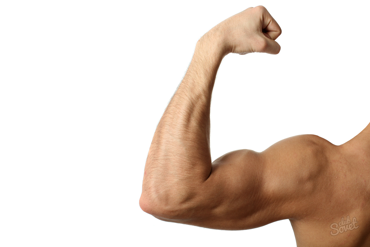 როგორ სატუმბო biceps სახლში