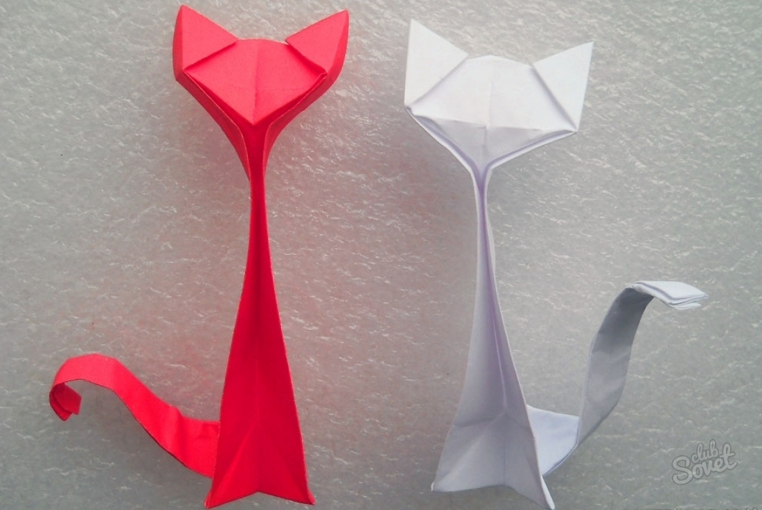 วิธีที่จะทำให้แมวจากกระดาษ