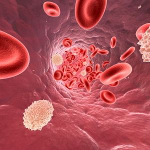 Foto Jak zvýšit leukocyty