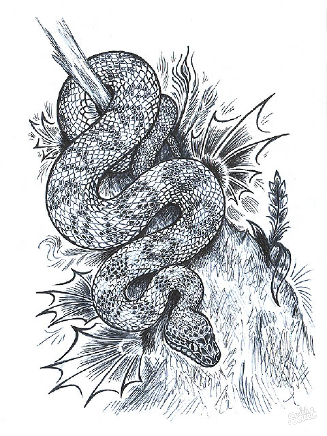 Come disegnare una matita di serpente