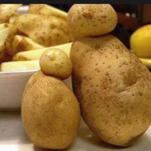 Quel est le rêve des pommes de terre?