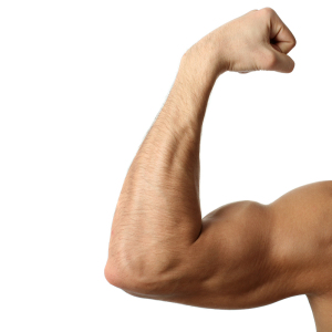 Photo How to pump biceps at home