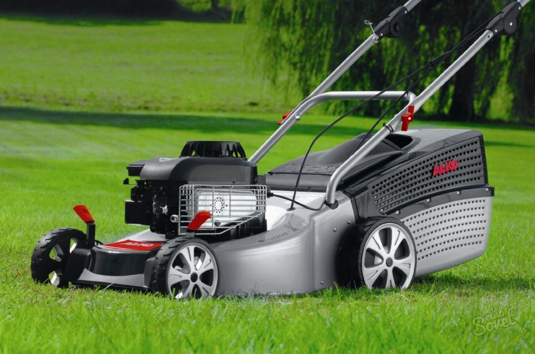 How to choose a gasoline lawn mower