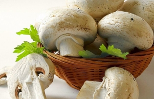 How to cook champignons in the oven