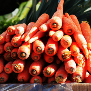 Фото как вырастить крупную морковь