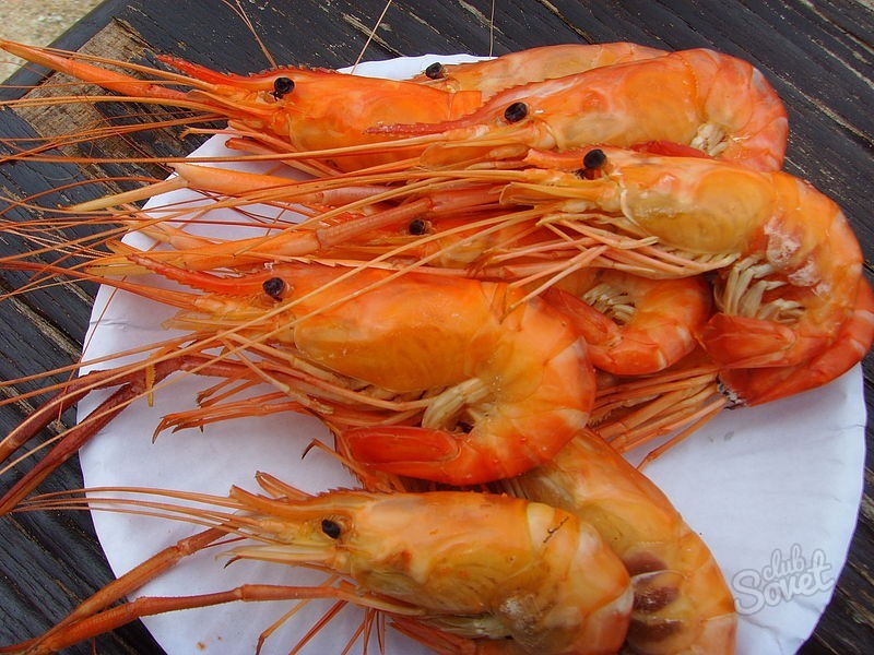 Shrimp1