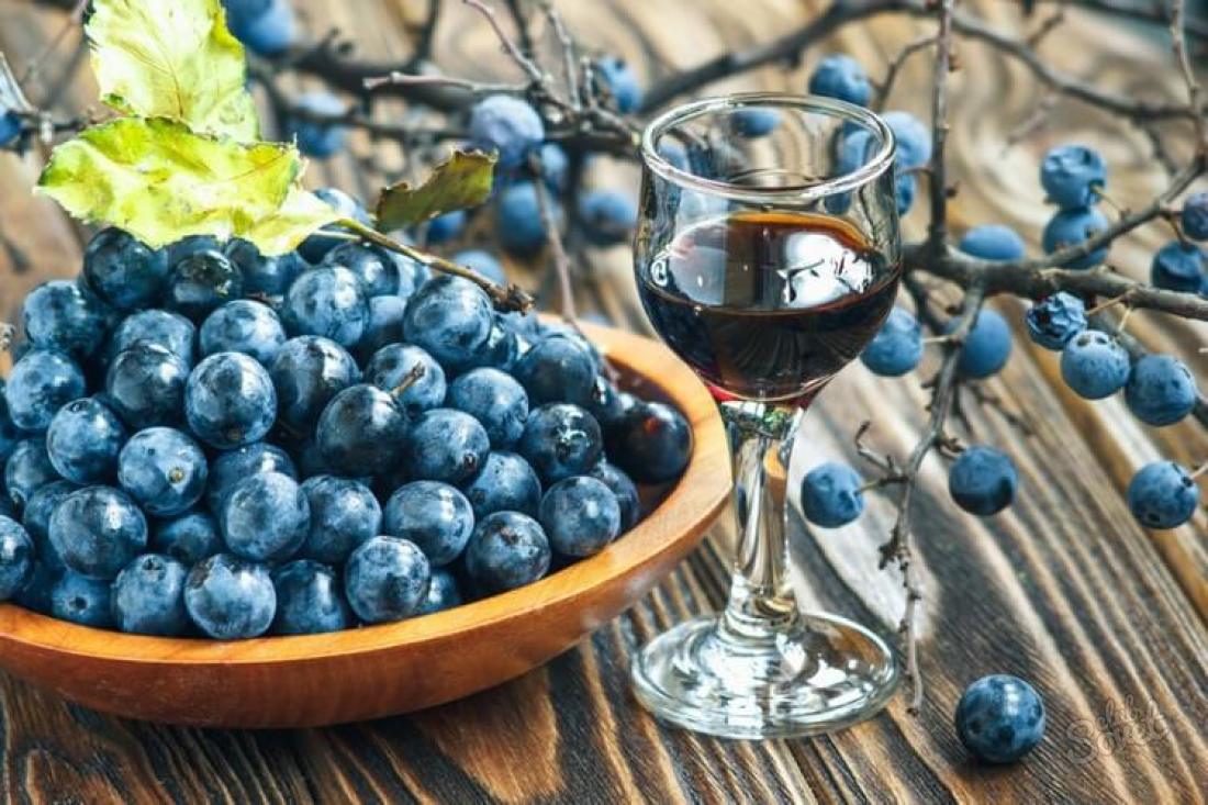 Как сделать вино из терна в домашних условиях
