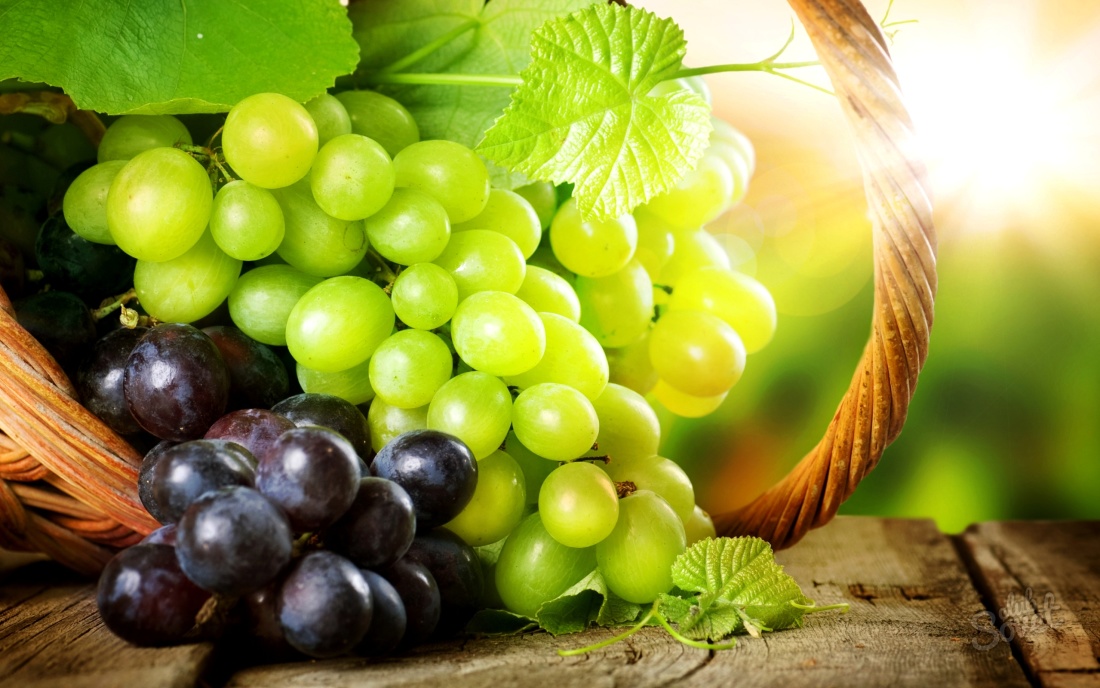 Как укрыть виноград