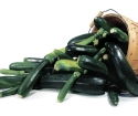 Cara menanam zucchini
