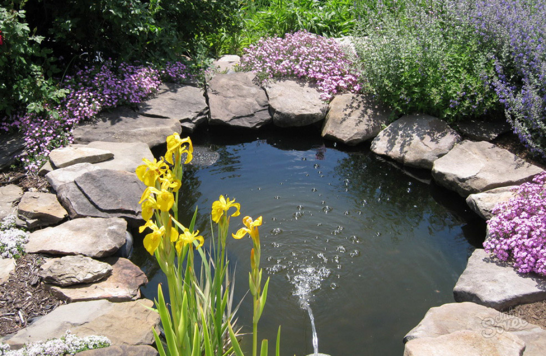 Jak udělat dekorativní rybník