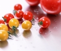 Ako pestovať cherry paradajky