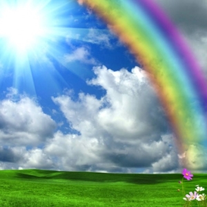 What dream of rainbow?