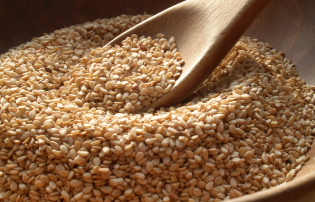 Sezamové semená - prospech a ublížiť, ako si vziať
