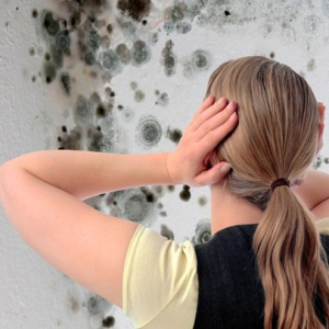 Foto cum să scape de mucegai pe pereți