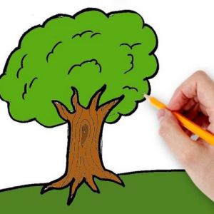 Foto Kako narisati drevo s svinčnikom