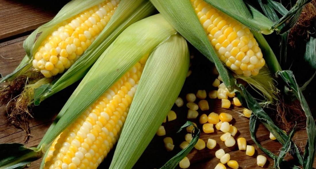 Как варить молодую кукурузу?