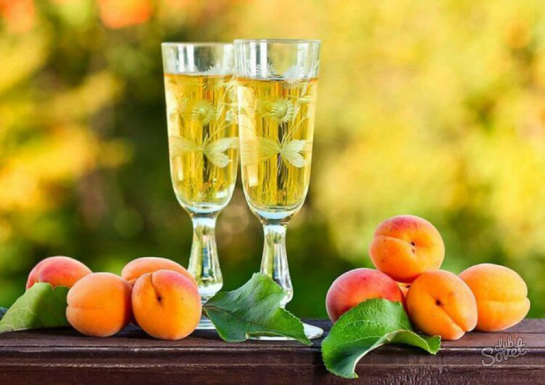 Как сделать вино из абрикос в домашних условиях