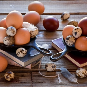 Фото скільки яєць можна їсти в день