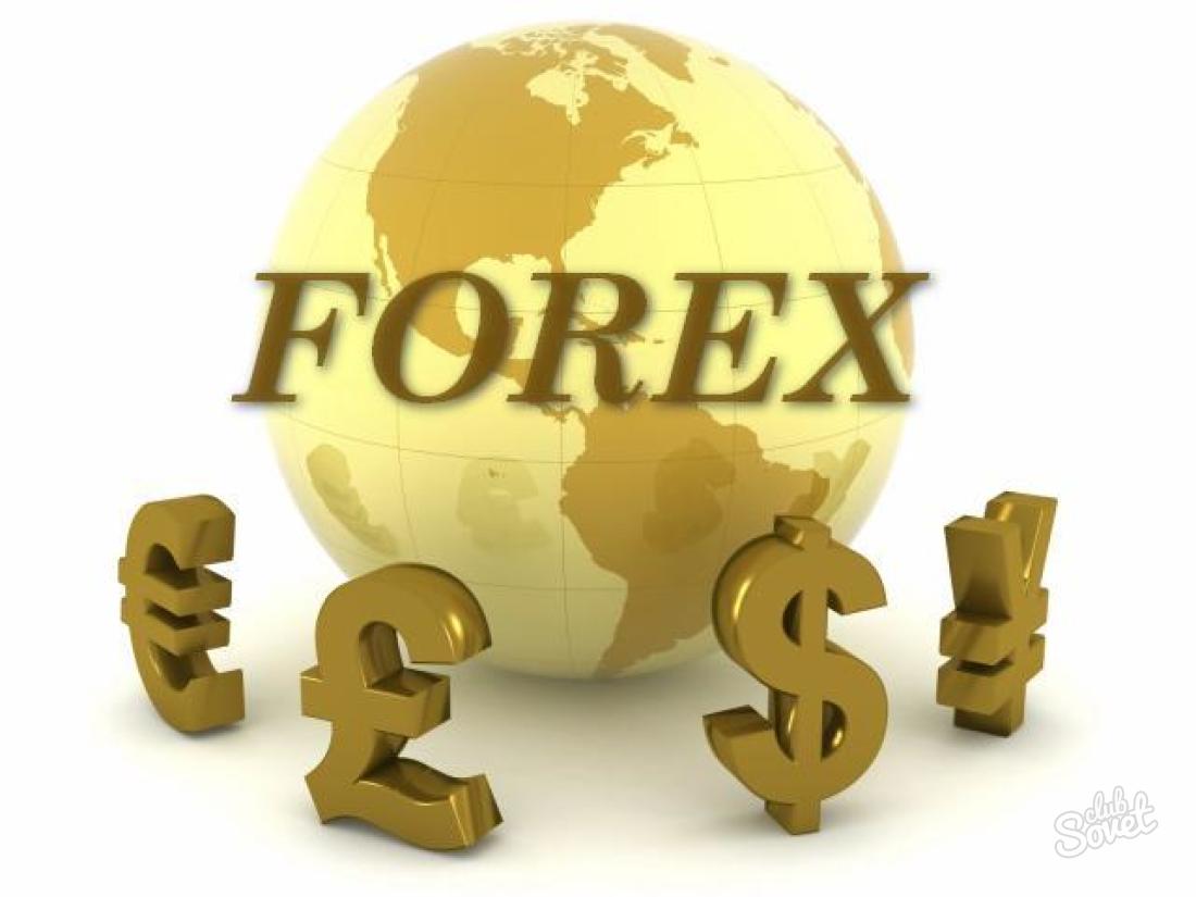 How to learn to work for forex