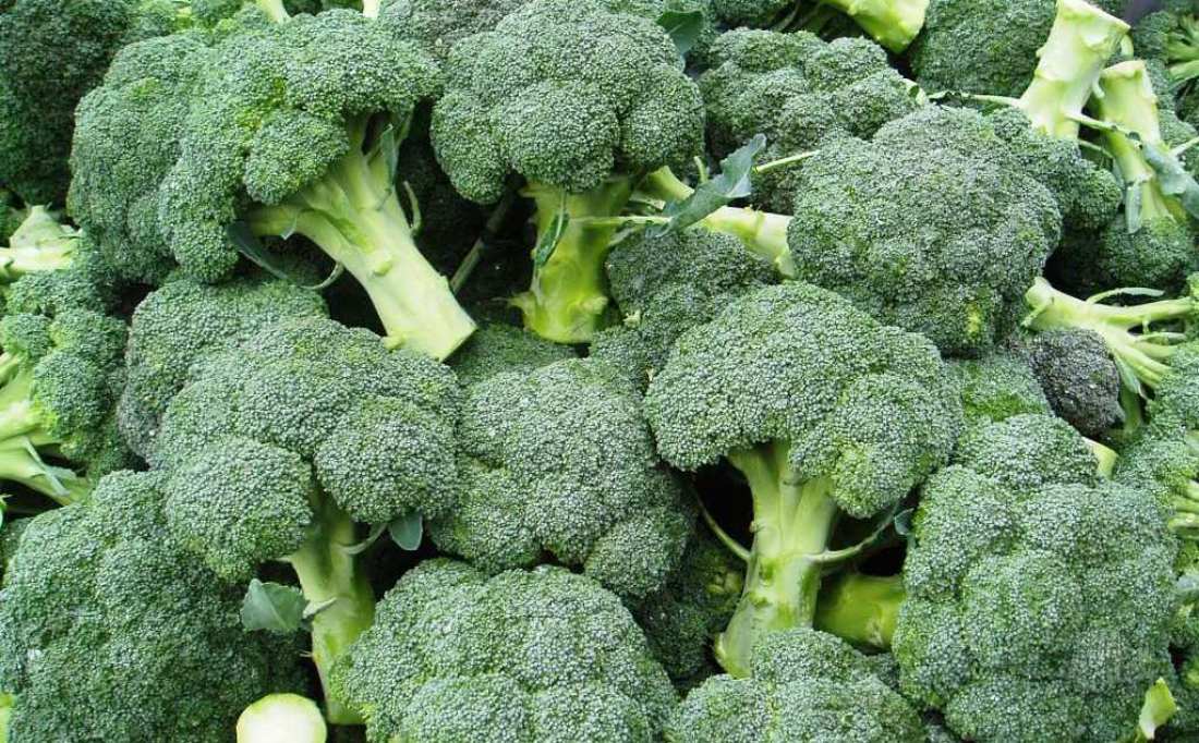 Come broccoli impianto