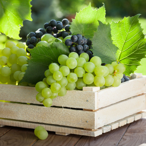 Stock Fote como armazenar uvas