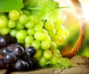 Как укрыть виноград