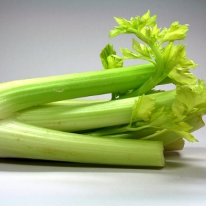 Fotografija kako rasti sadnice celera