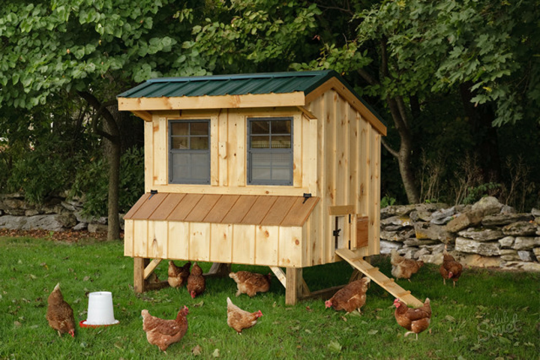 tavuklar için bir kulübe inşa etmek nasıl