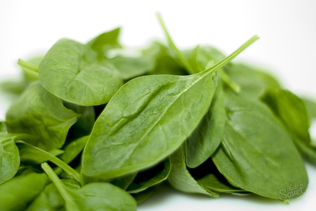 როგორ მცენარეთა spinach