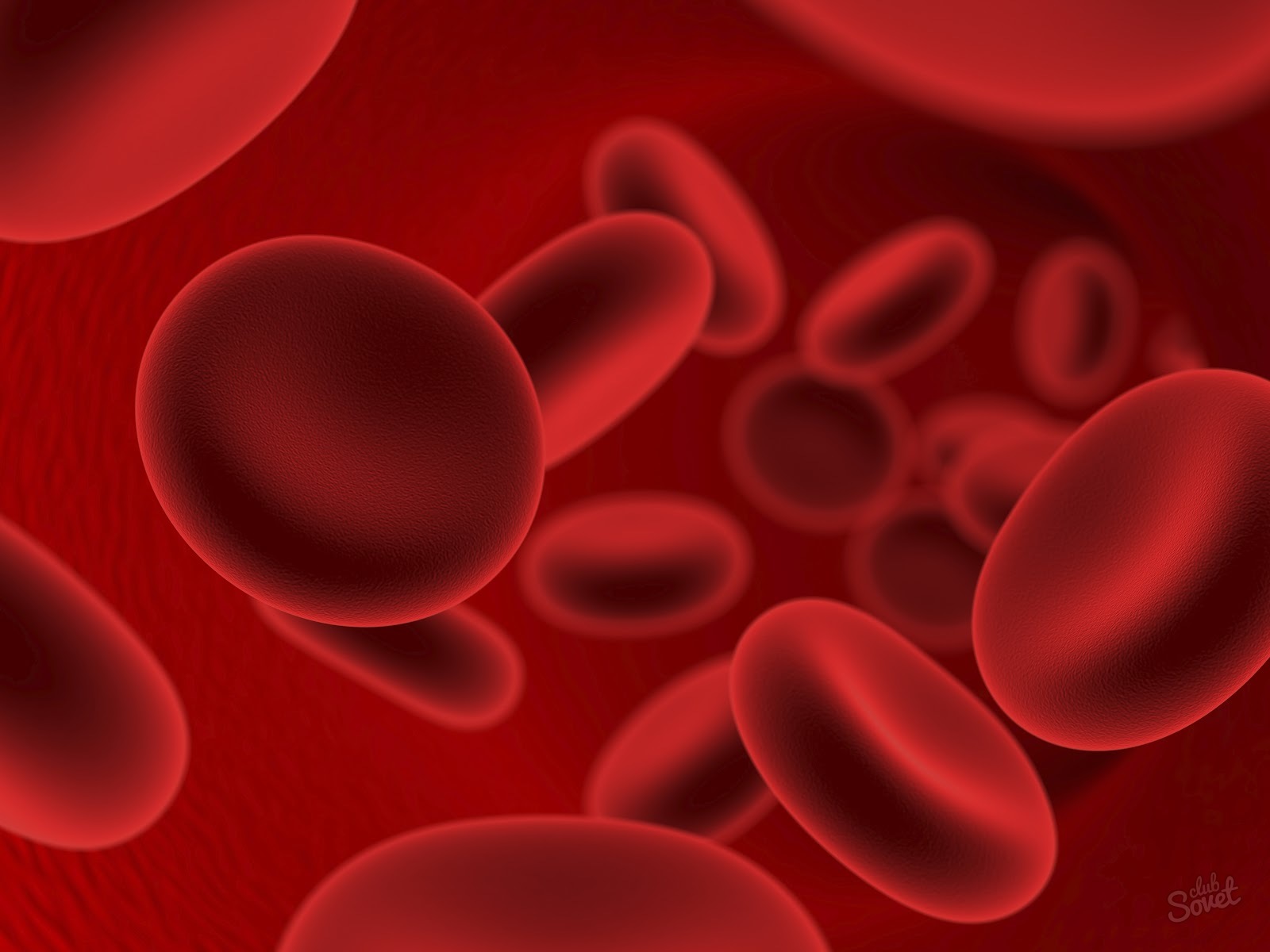 Πώς να προσδιορίσετε την ομάδα αίματος