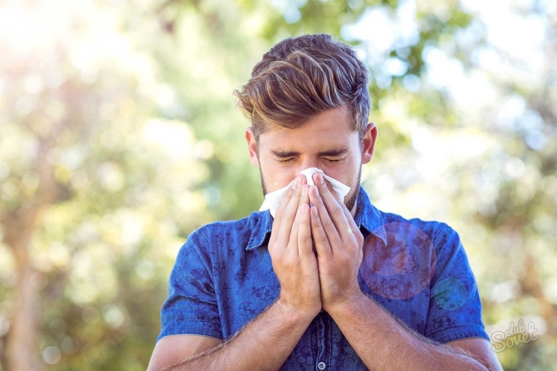 რატომ sneeze: დუმილის დრო და დღის