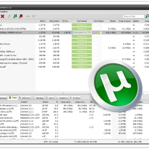 Photo How to remove torrent from a computer