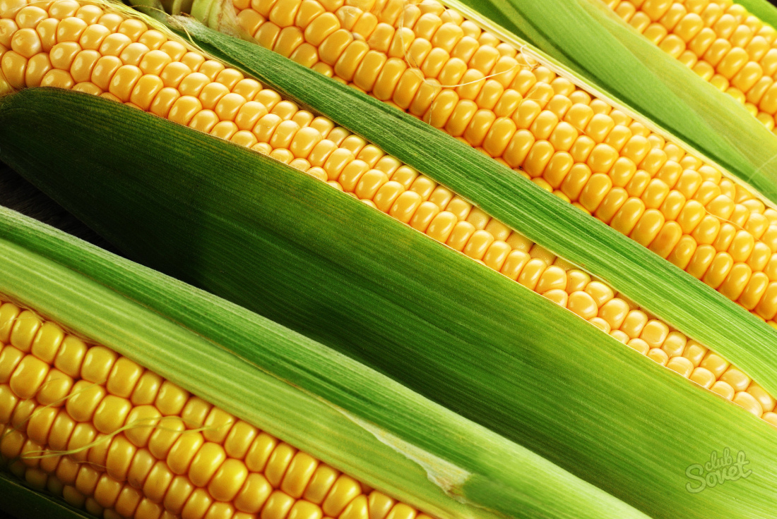 Čo môže byť vyrobený z kukurice?