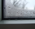 Mold on the windows how to deal
