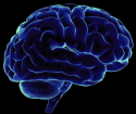 Hur man utvecklar den högra hjärnans halvklot