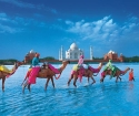 What can be viewed in India tourist