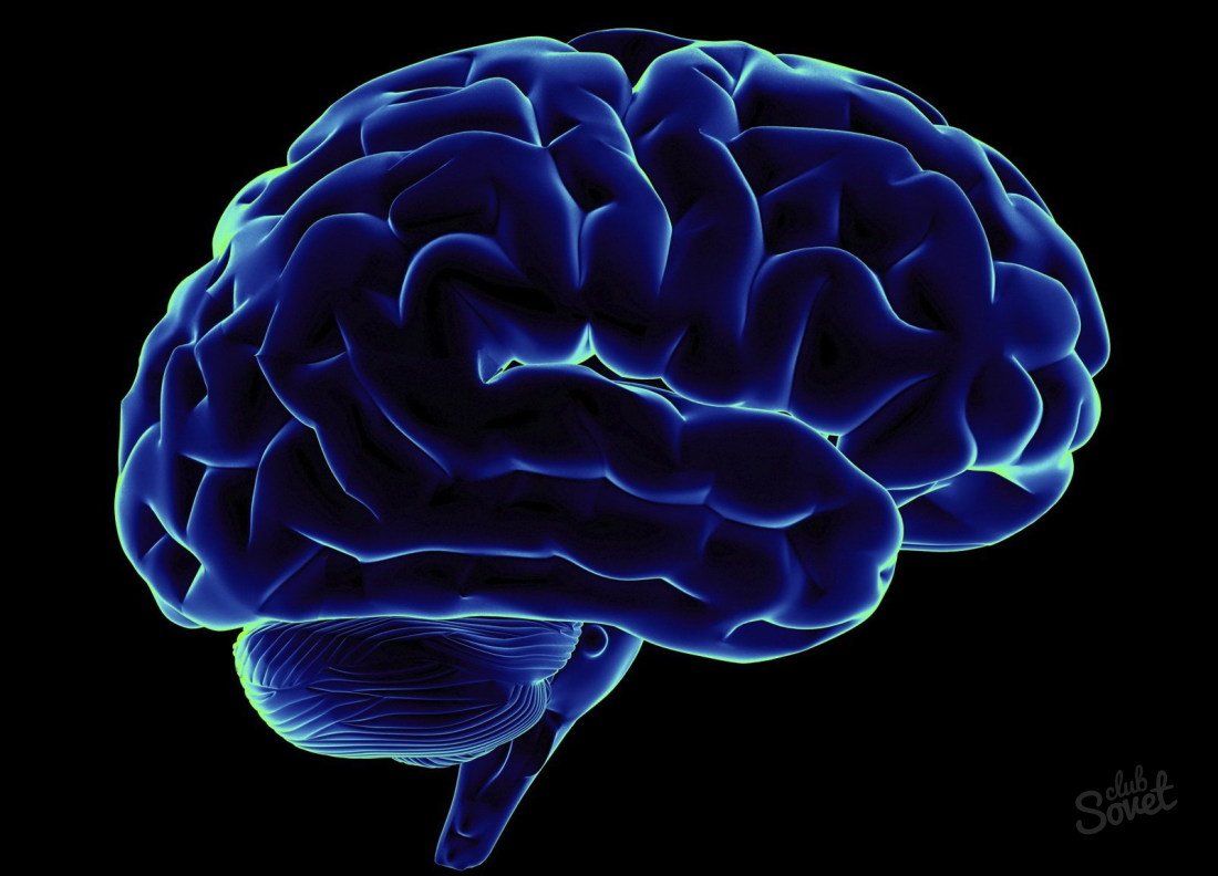 How to develop the right brain hemisphere