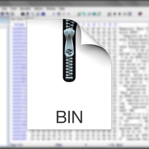 Foto, wie die bin-Datei zu öffnen