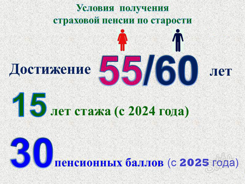 Страховые баллы для пенсии в 2024 году