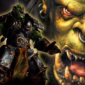 Foto Jak hrát Warcraft 3 přes síť