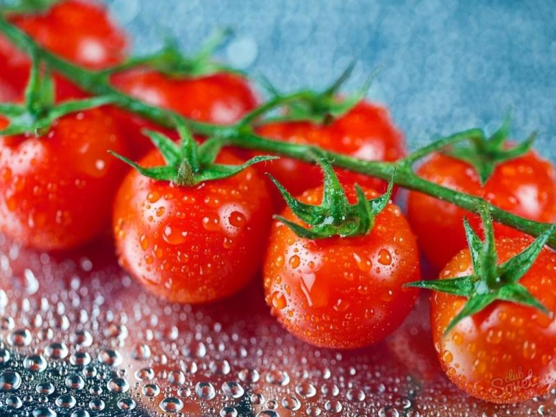 How to grow tomatoes in the open soil